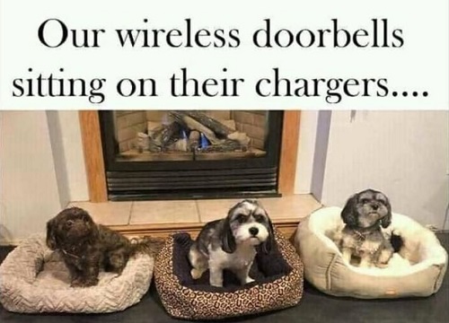 wireless doorbell dogs.jpg